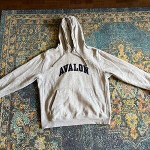 Nike Avalon Embroidered Gray Hoodie for Men